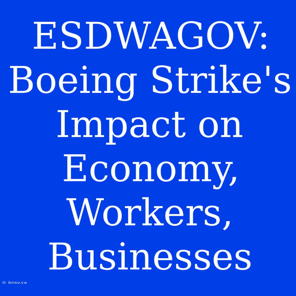 ESDWAGOV: Boeing Strike's Impact On Economy, Workers, Businesses