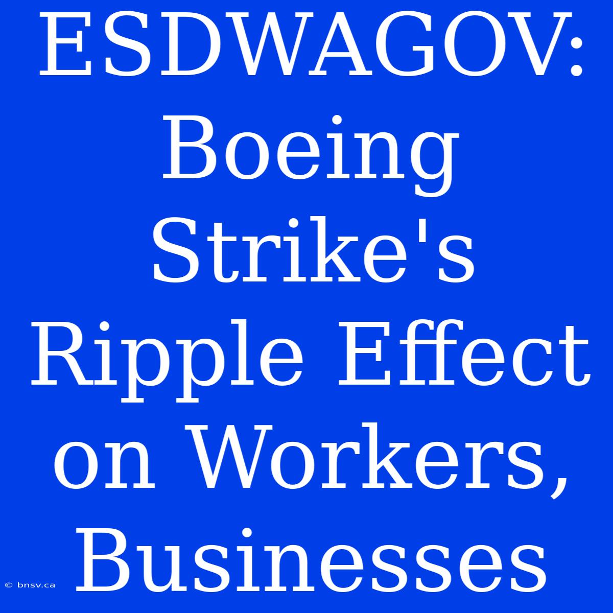 ESDWAGOV: Boeing Strike's Ripple Effect On Workers, Businesses