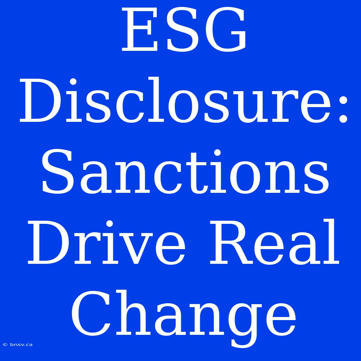 ESG Disclosure:  Sanctions Drive Real Change