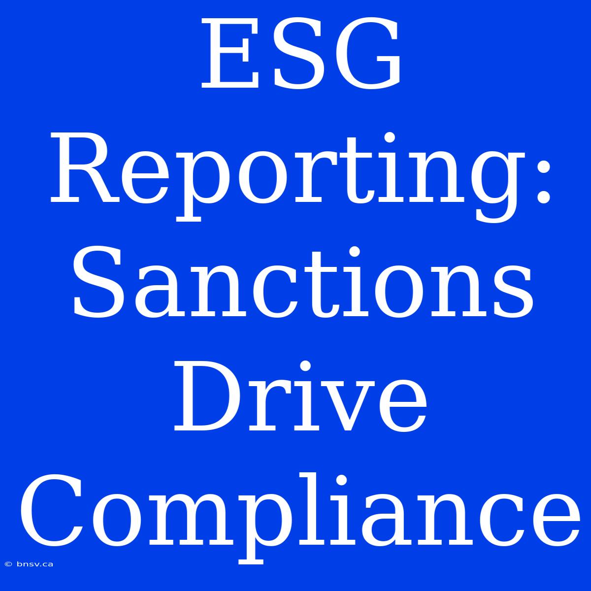 ESG Reporting:  Sanctions Drive Compliance