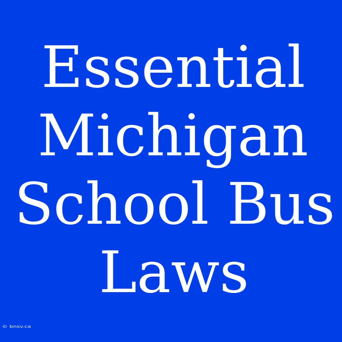 Essential Michigan School Bus Laws