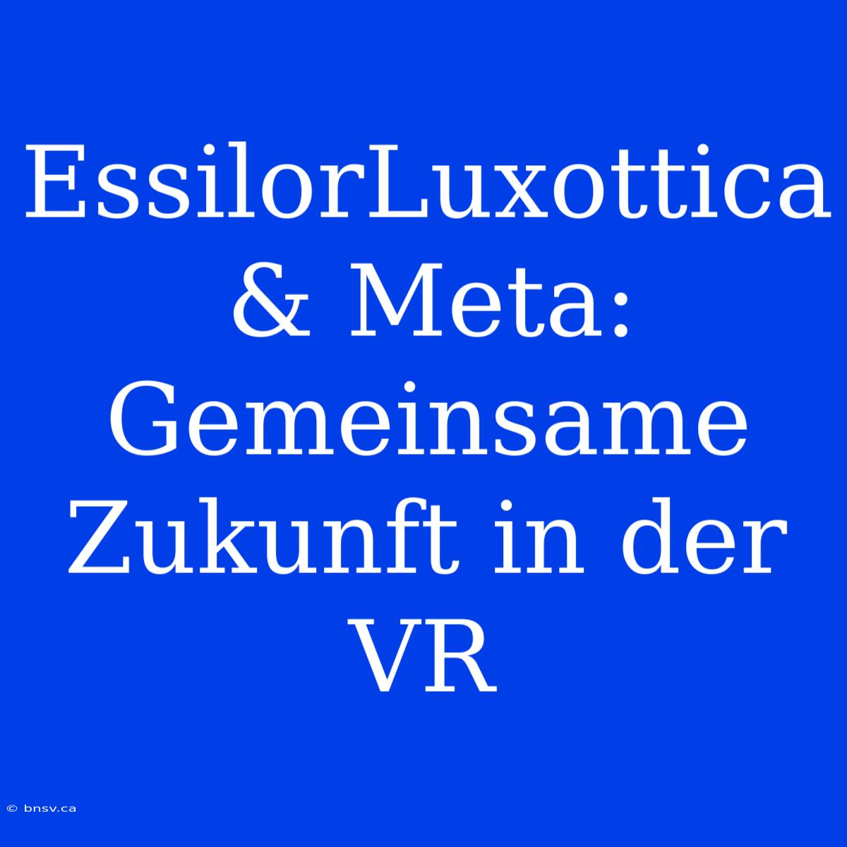 EssilorLuxottica & Meta: Gemeinsame Zukunft In Der VR