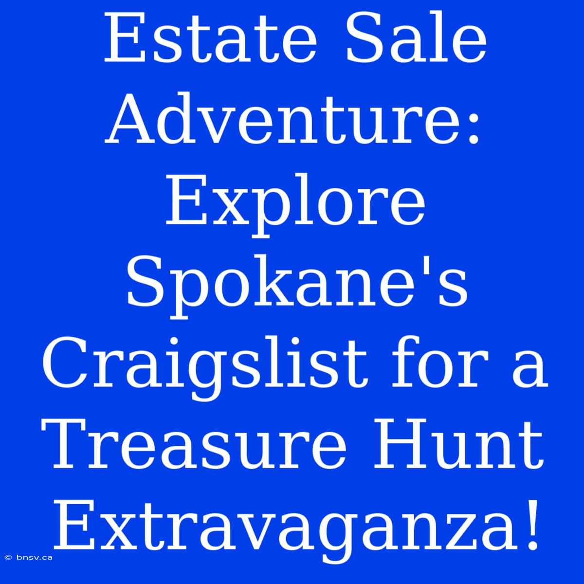 Estate Sale Adventure: Explore Spokane's Craigslist For A Treasure Hunt Extravaganza!