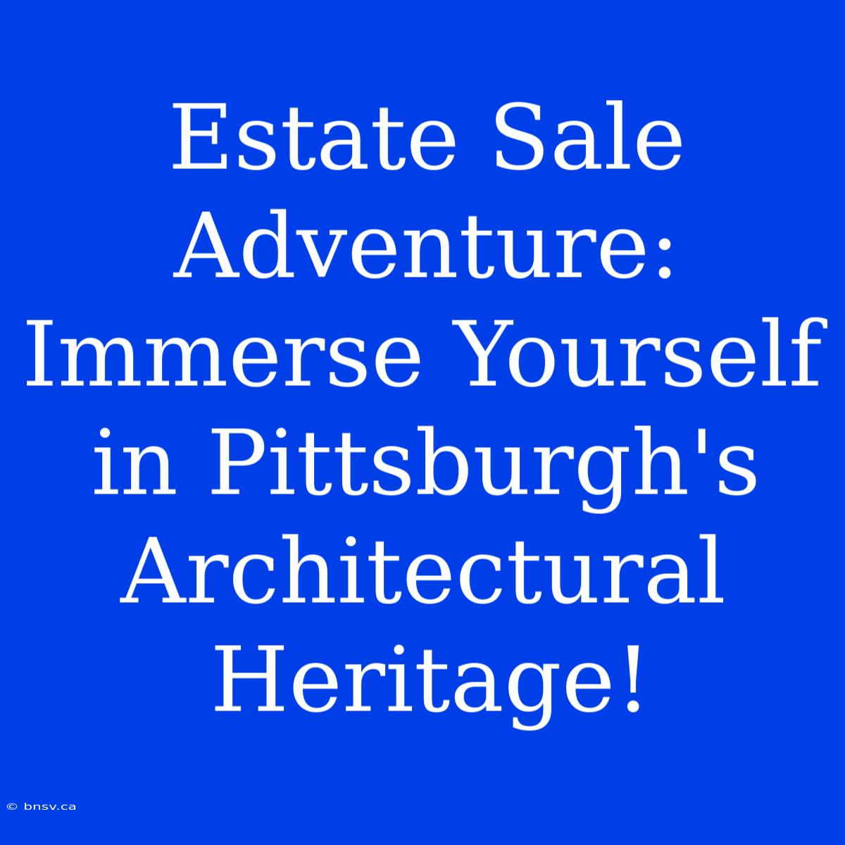 Estate Sale Adventure: Immerse Yourself In Pittsburgh's Architectural Heritage!