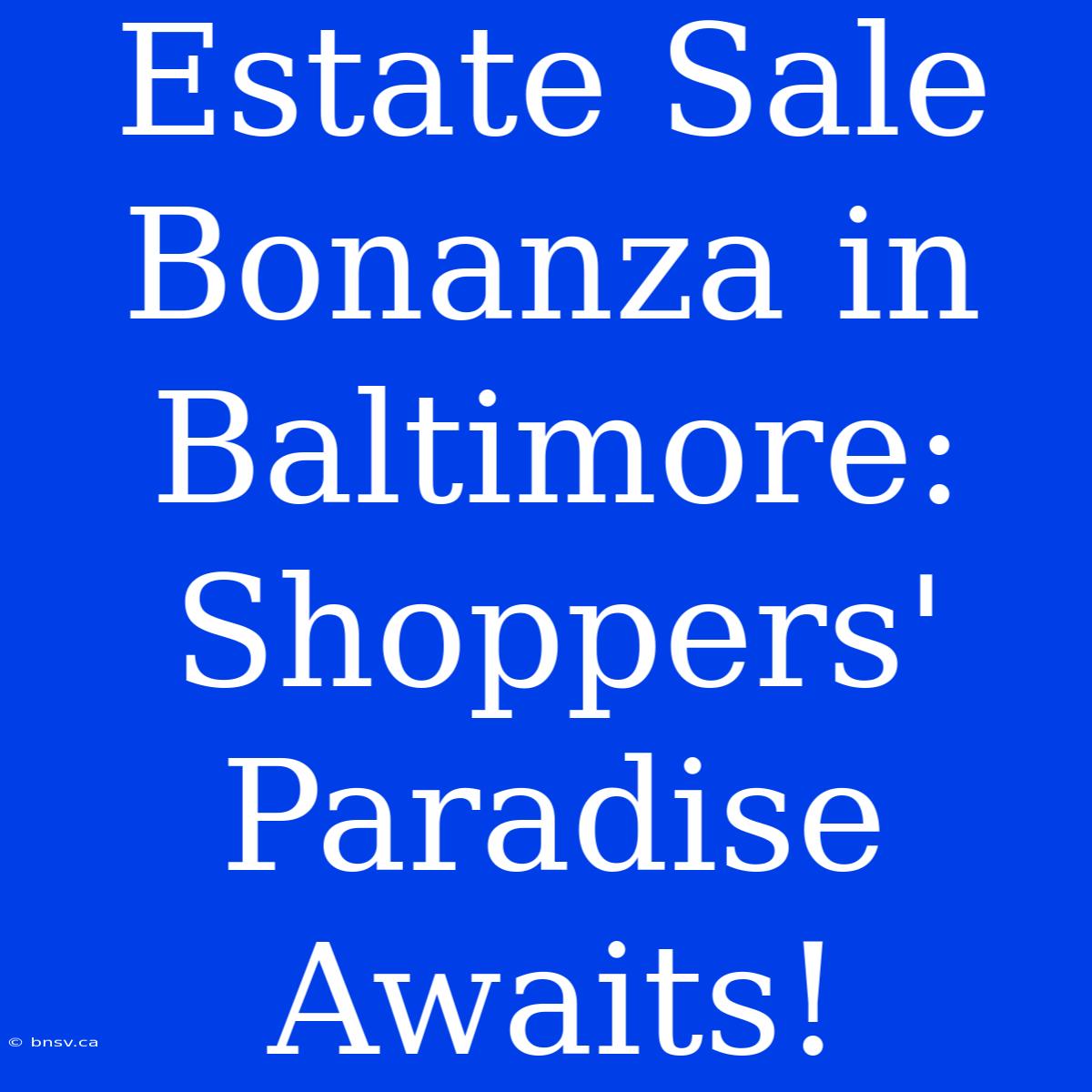 Estate Sale Bonanza In Baltimore: Shoppers' Paradise Awaits!