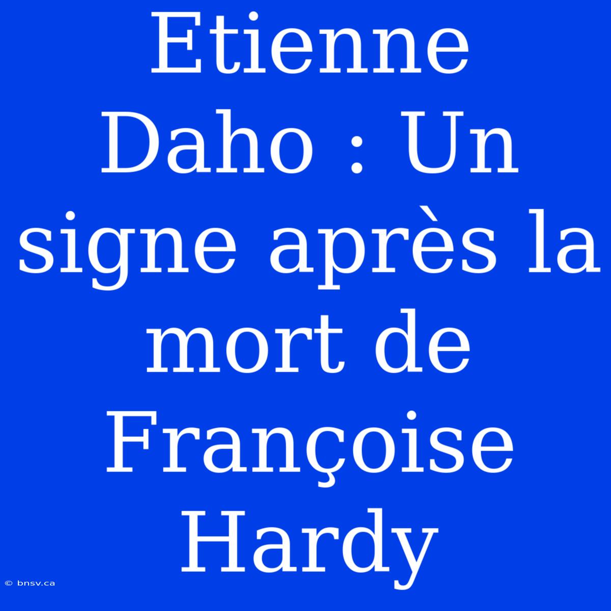 Etienne Daho : Un Signe Après La Mort De Françoise Hardy