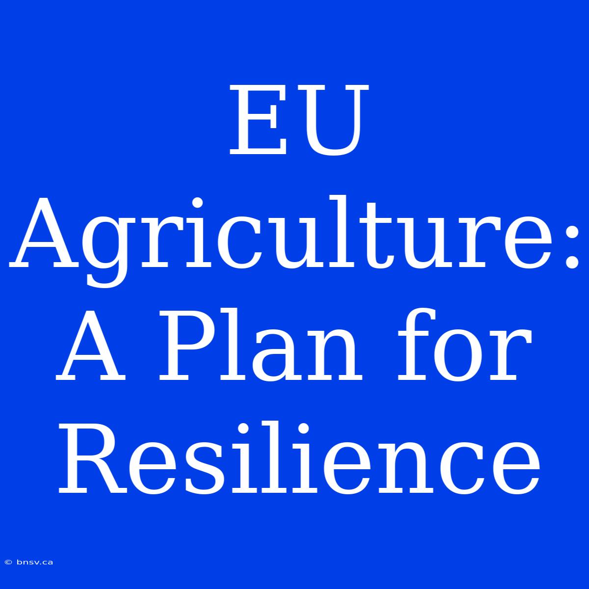 EU Agriculture: A Plan For Resilience