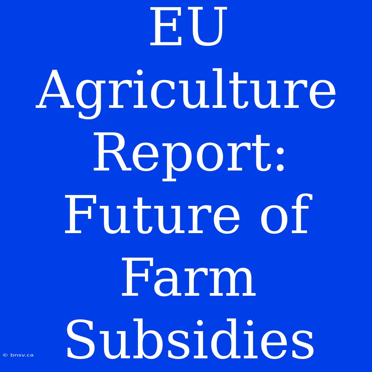 EU Agriculture Report: Future Of Farm Subsidies