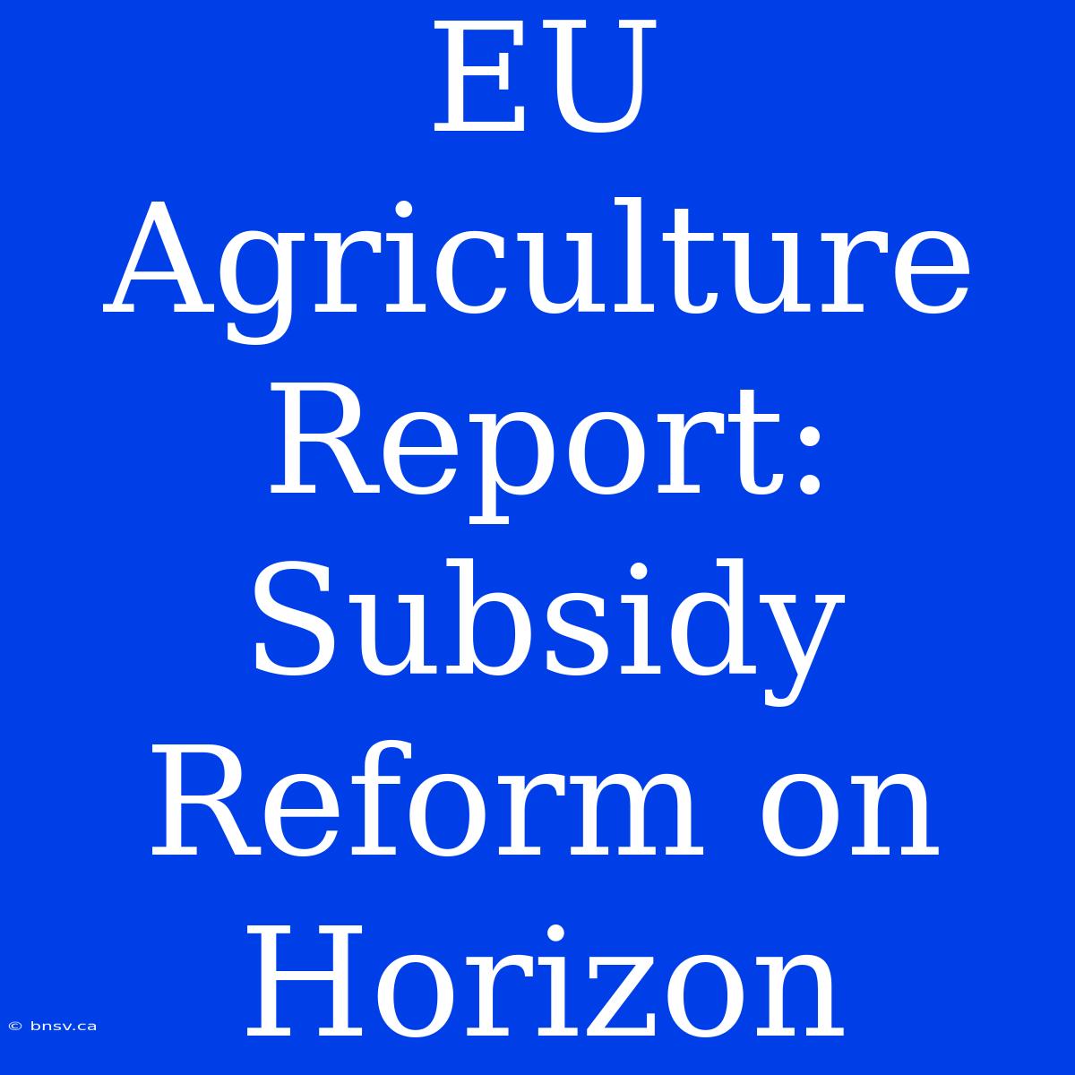 EU Agriculture Report: Subsidy Reform On Horizon