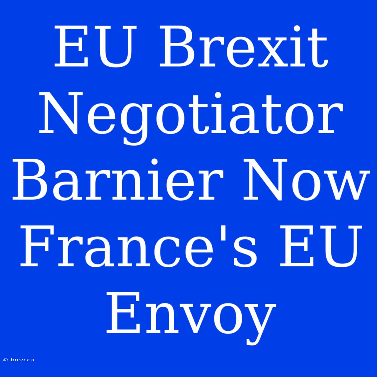 EU Brexit Negotiator Barnier Now France's EU Envoy