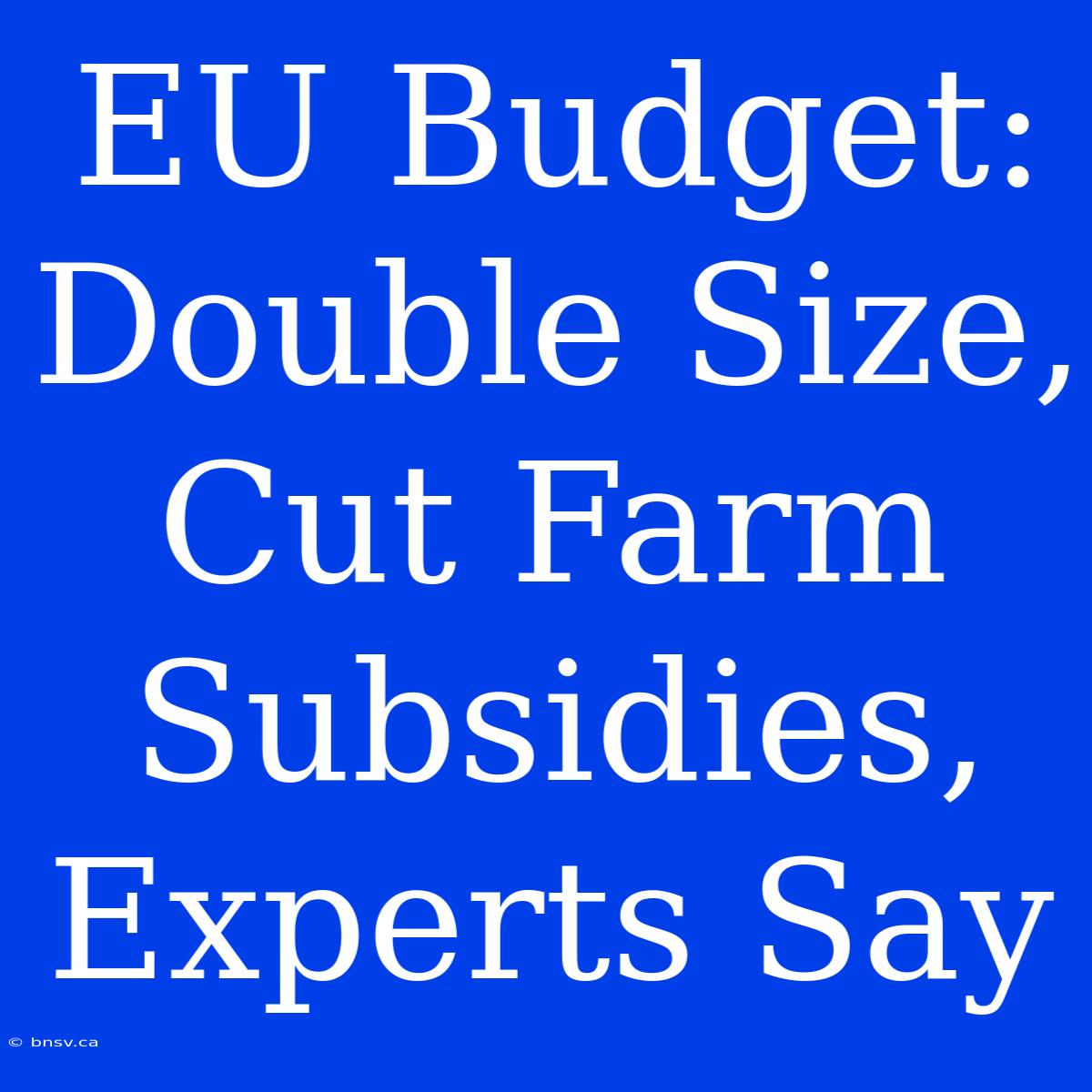 EU Budget: Double Size, Cut Farm Subsidies, Experts Say