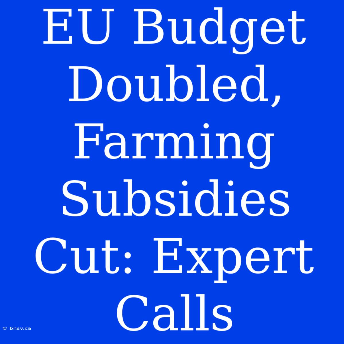 EU Budget Doubled, Farming Subsidies Cut: Expert Calls