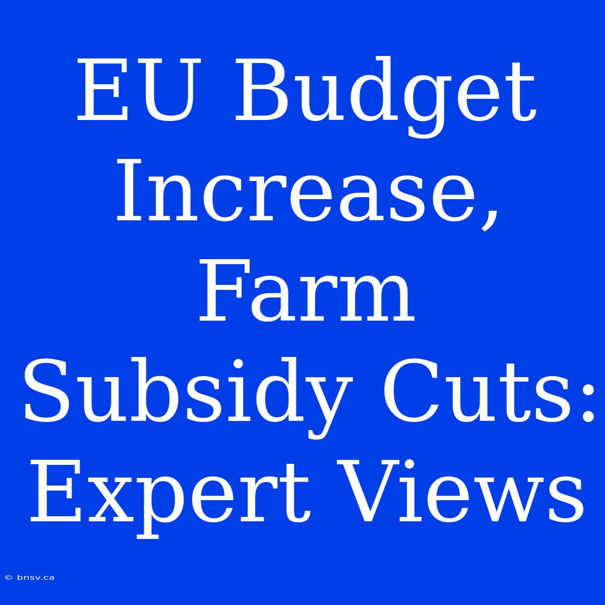 EU Budget Increase, Farm Subsidy Cuts: Expert Views