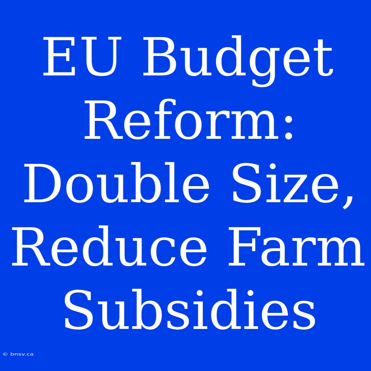 EU Budget Reform: Double Size, Reduce Farm Subsidies