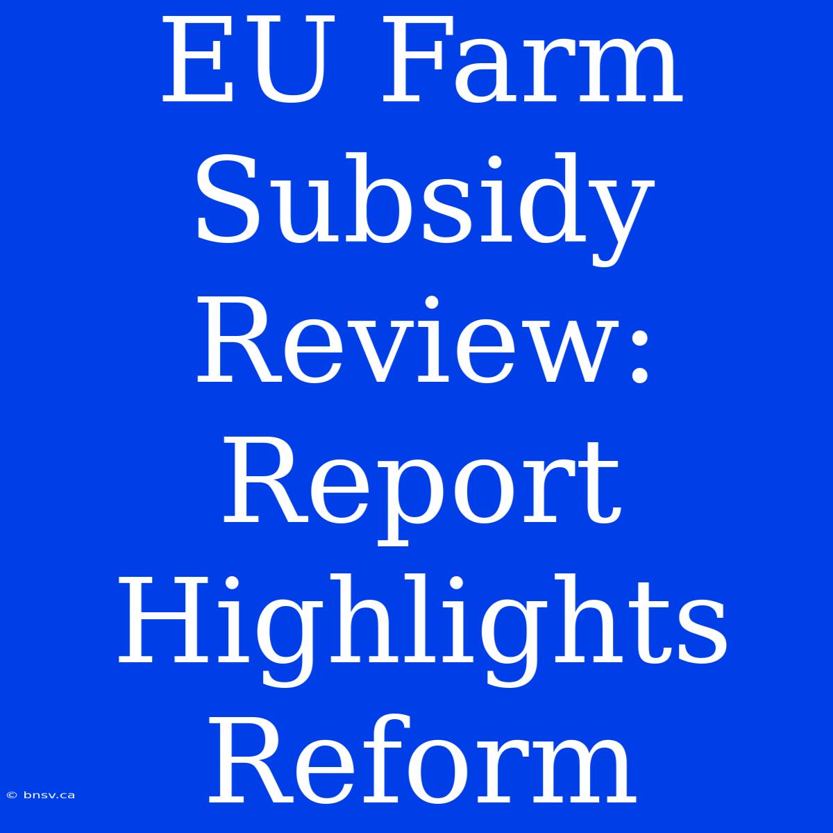 EU Farm Subsidy Review: Report Highlights Reform