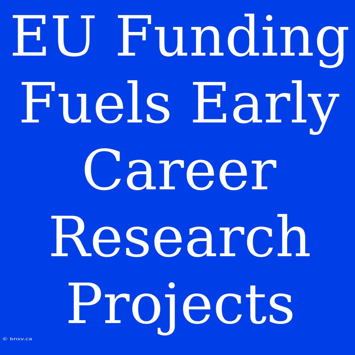 EU Funding Fuels Early Career Research Projects