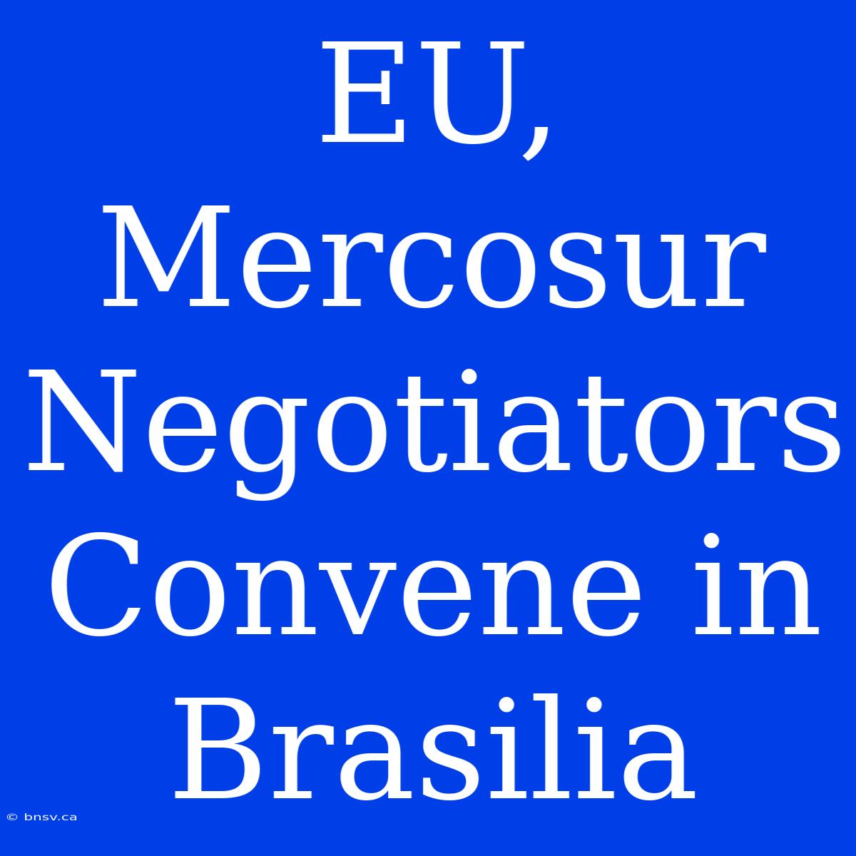 EU, Mercosur Negotiators Convene In Brasilia