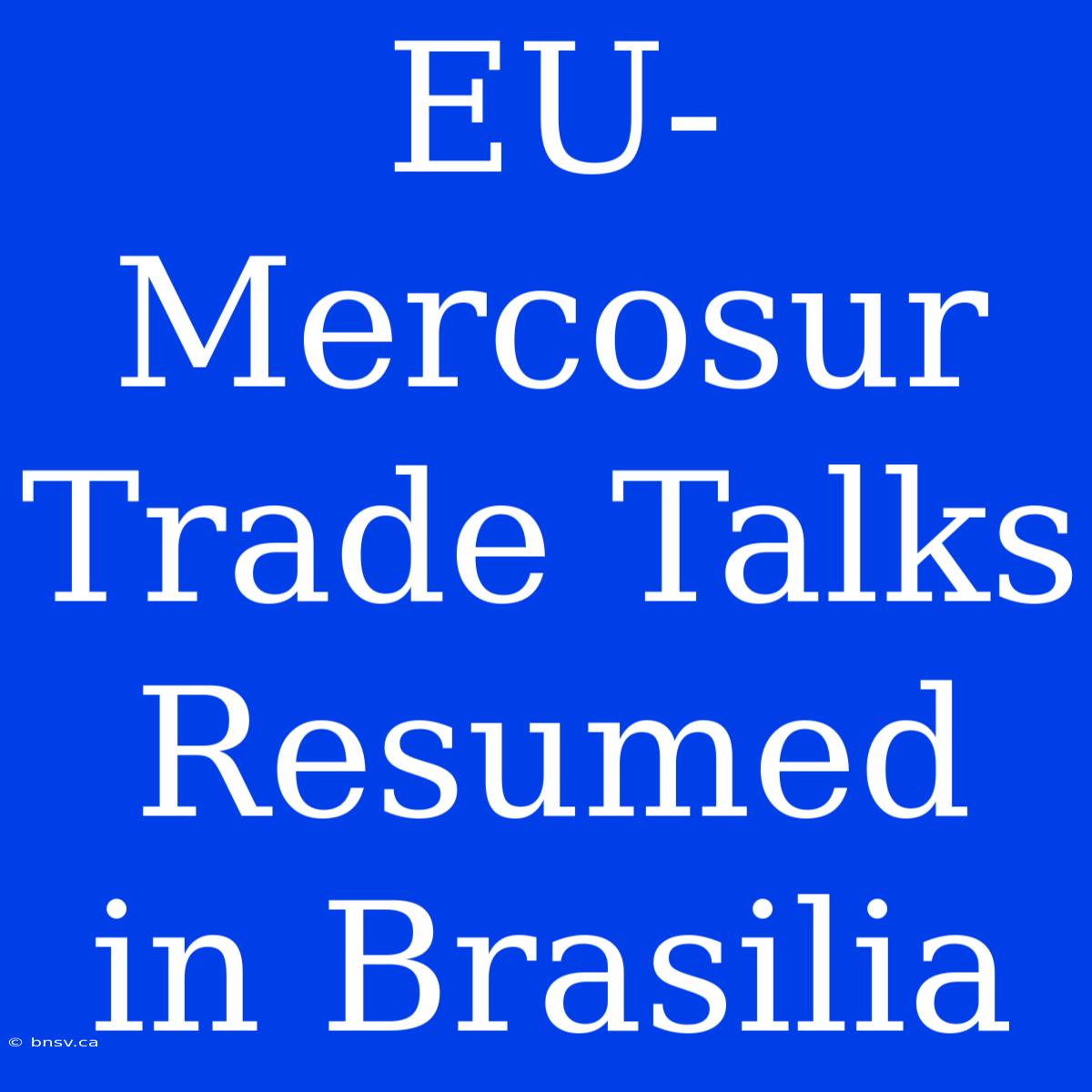 EU-Mercosur Trade Talks Resumed In Brasilia