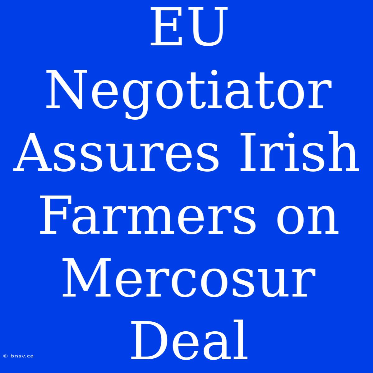 EU Negotiator Assures Irish Farmers On Mercosur Deal