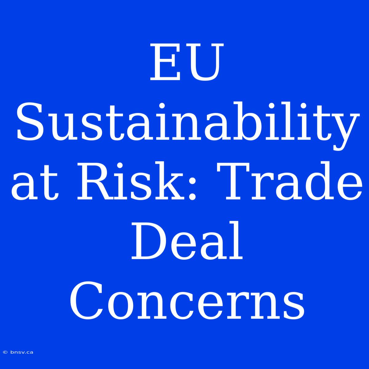 EU Sustainability At Risk: Trade Deal Concerns