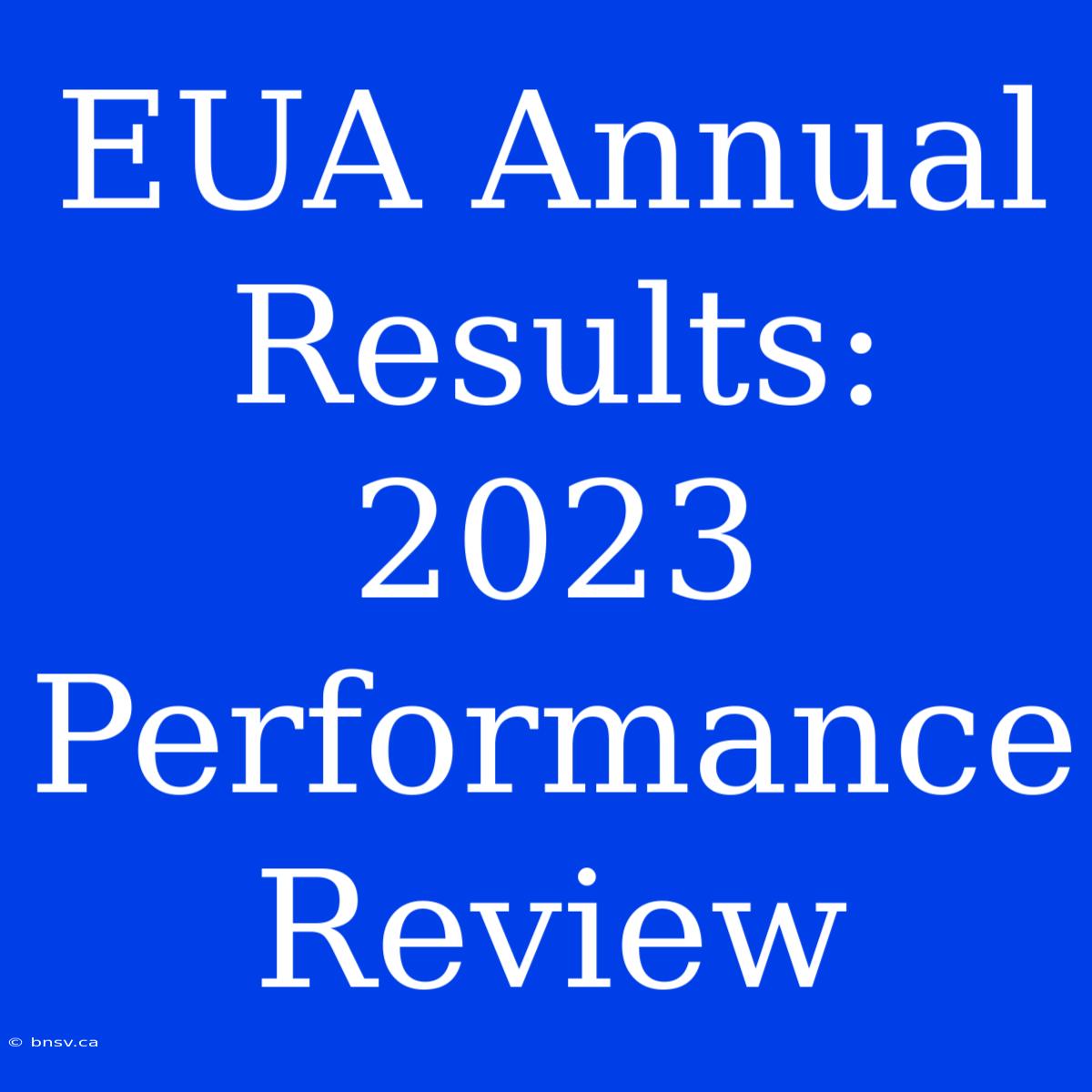 EUA Annual Results: 2023 Performance Review