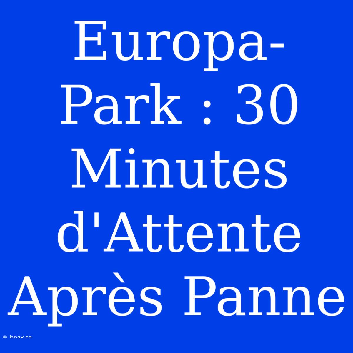 Europa-Park : 30 Minutes D'Attente Après Panne