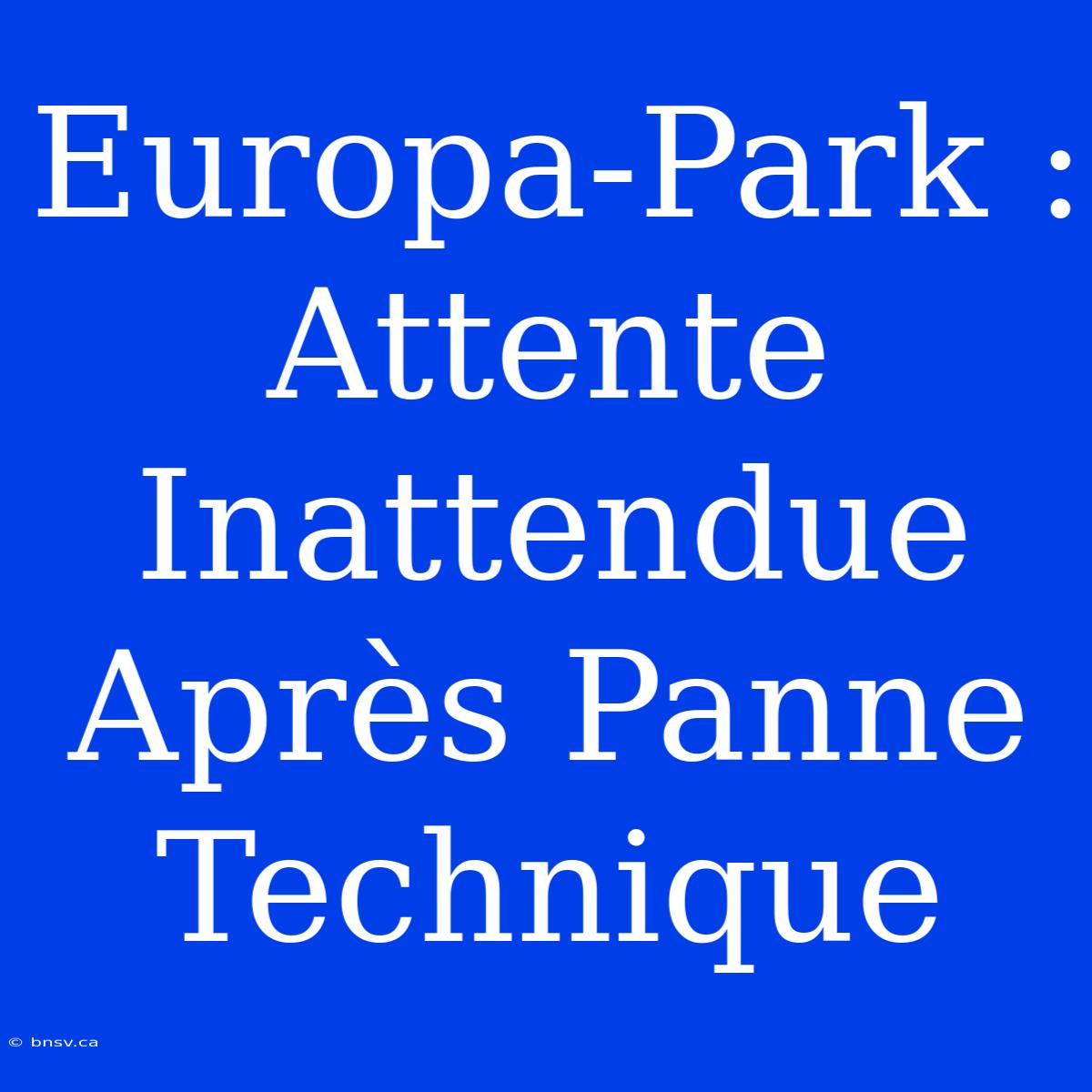 Europa-Park : Attente Inattendue Après Panne Technique