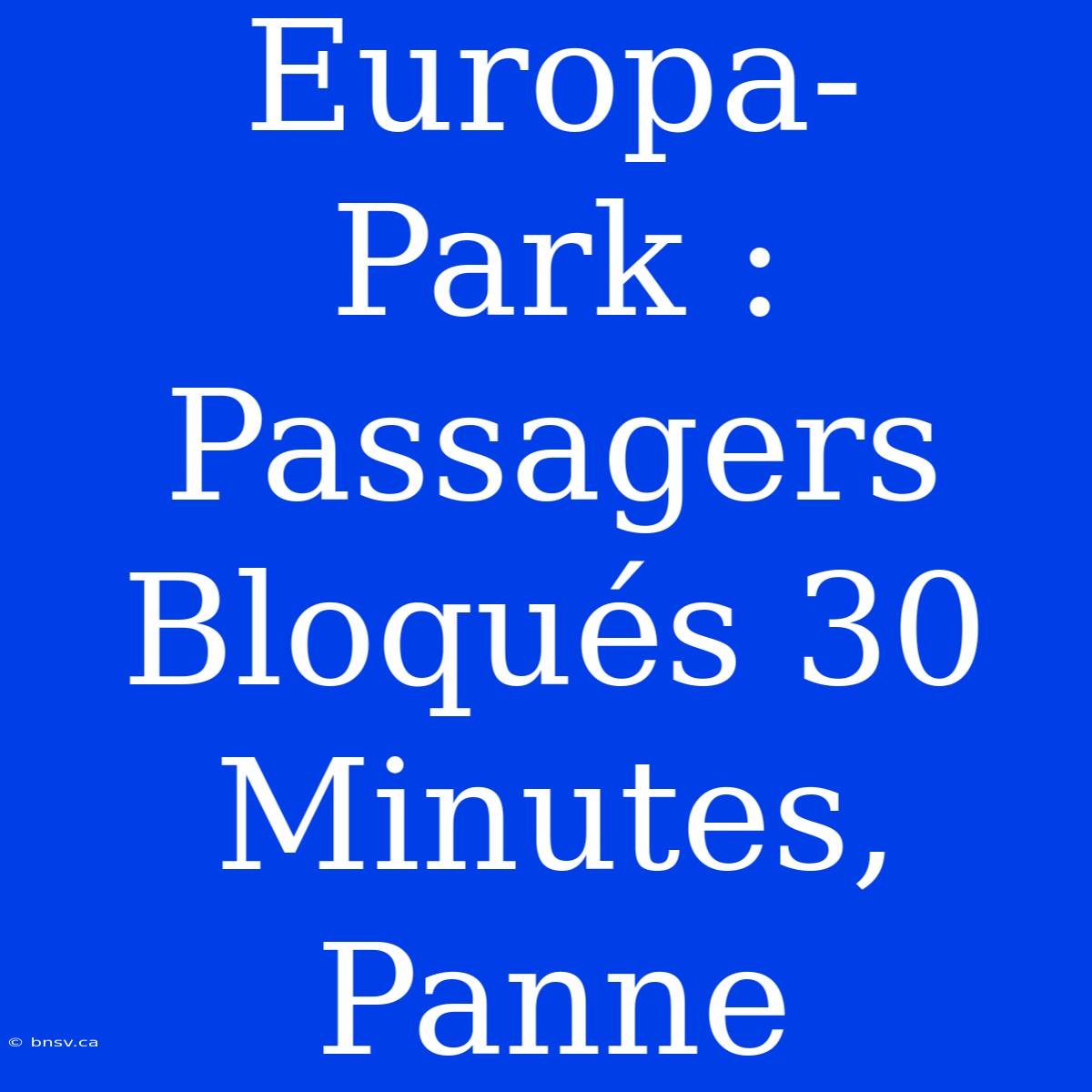 Europa-Park : Passagers Bloqués 30 Minutes, Panne