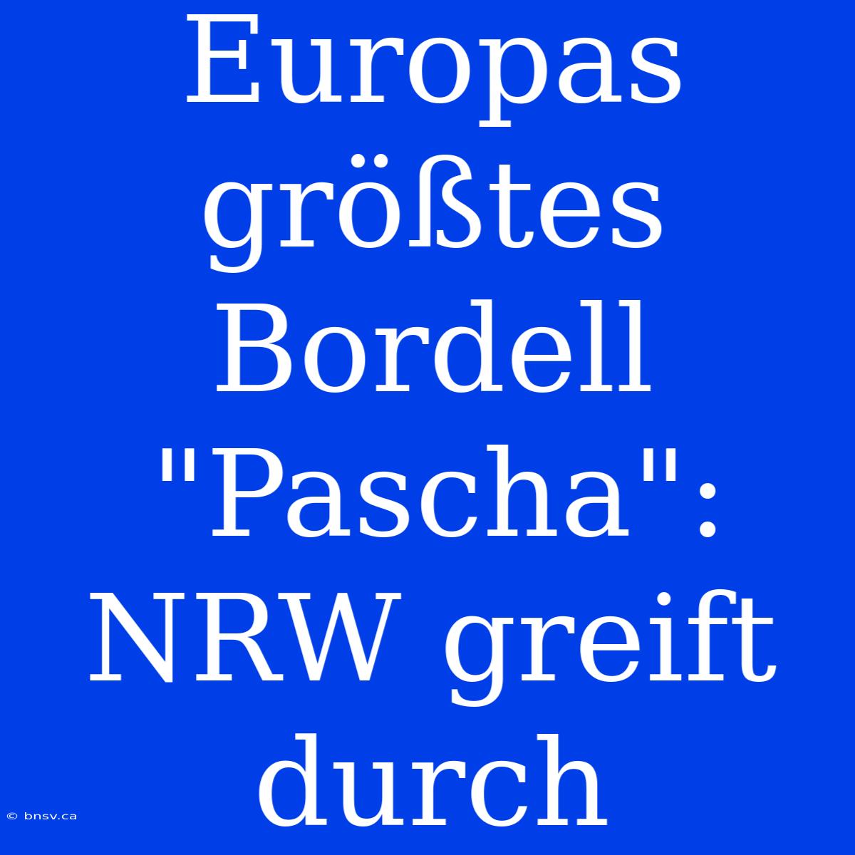 Europas Größtes Bordell 