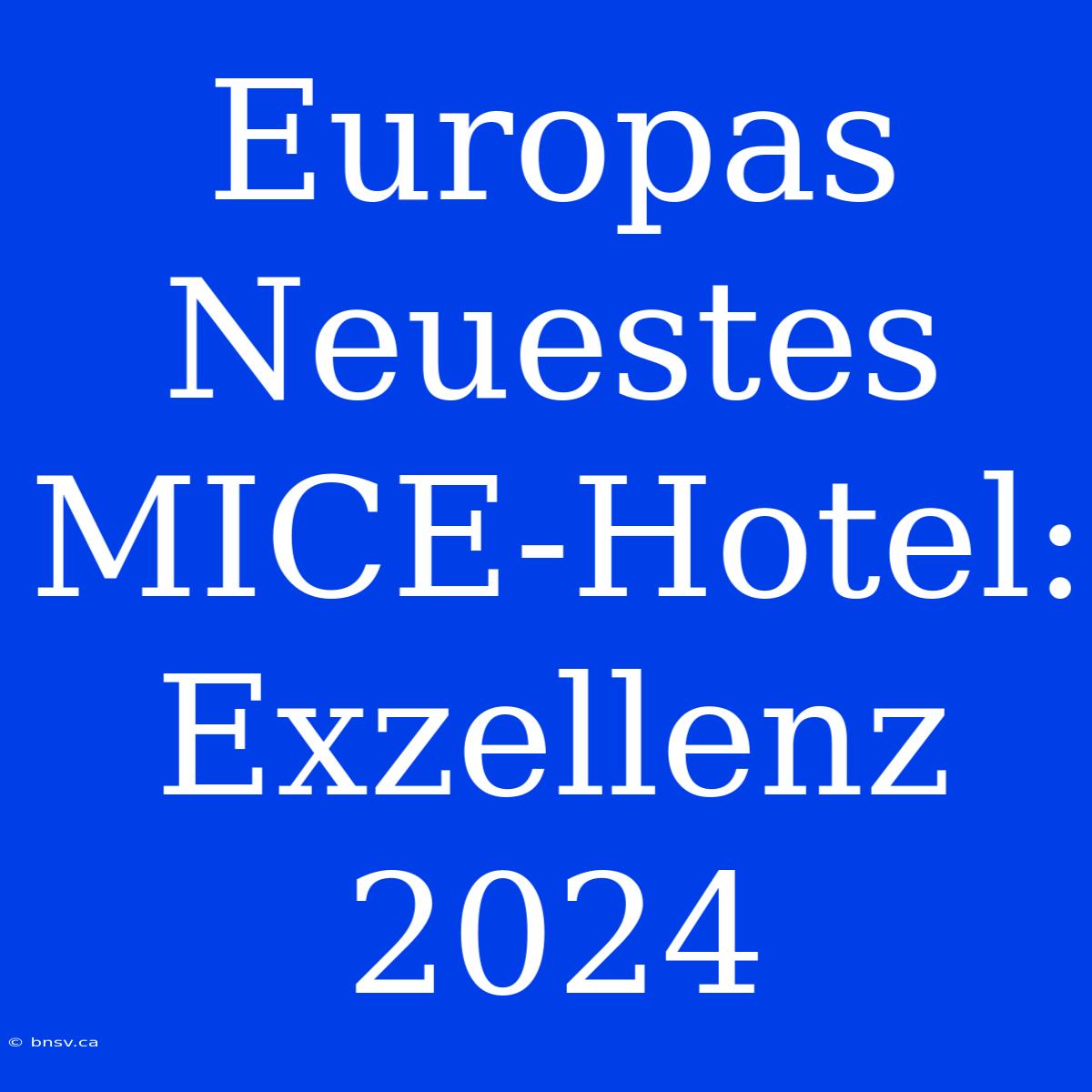 Europas Neuestes MICE-Hotel: Exzellenz 2024