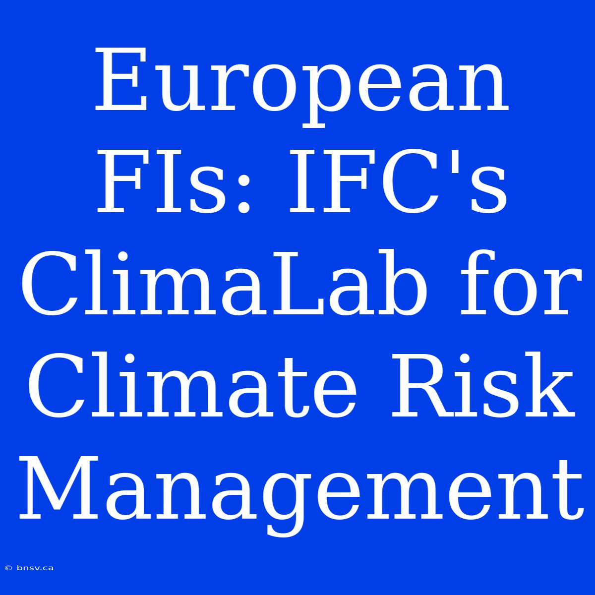 European FIs: IFC's ClimaLab For Climate Risk Management