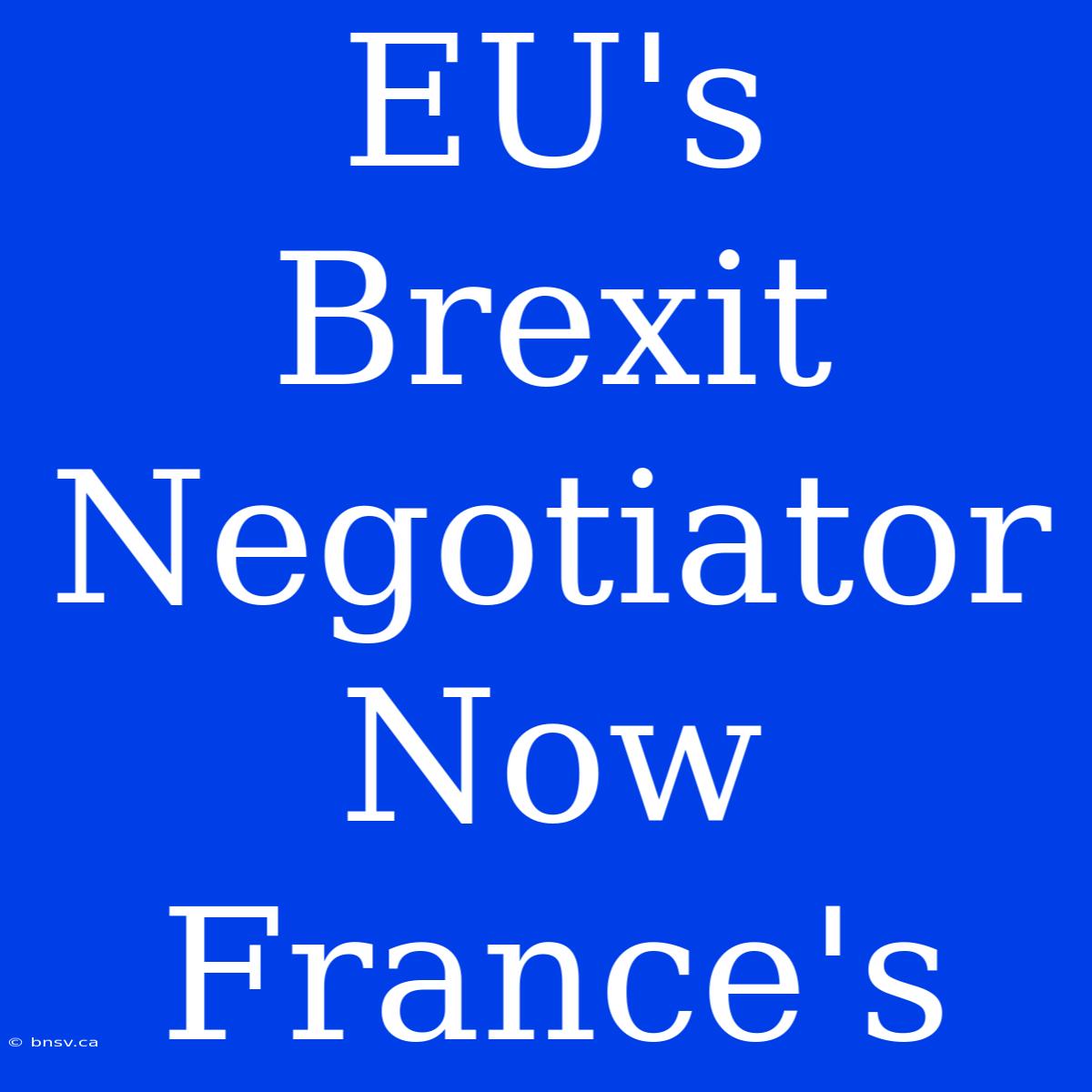 EU's Brexit Negotiator Now France's