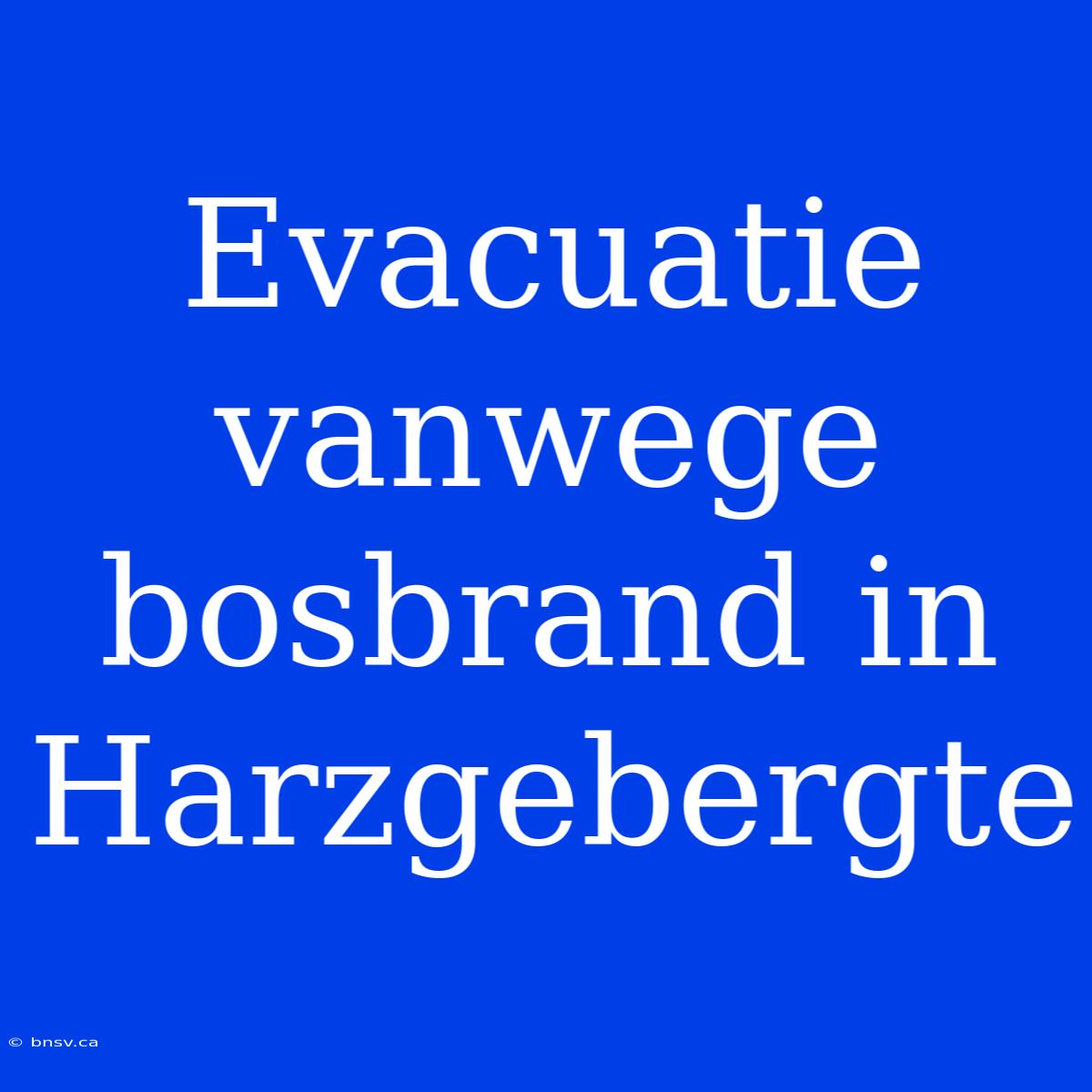 Evacuatie Vanwege Bosbrand In Harzgebergte