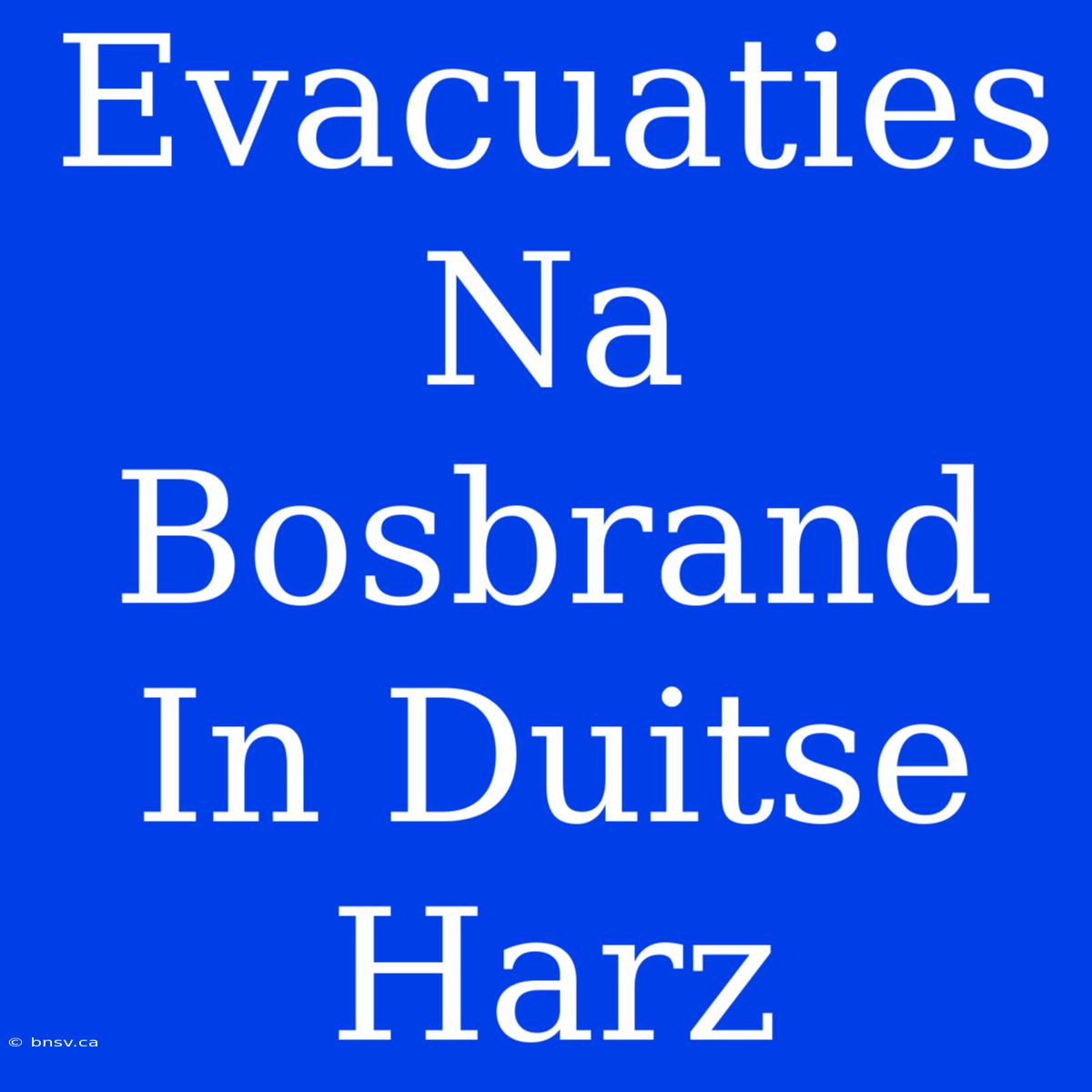 Evacuaties Na Bosbrand In Duitse Harz