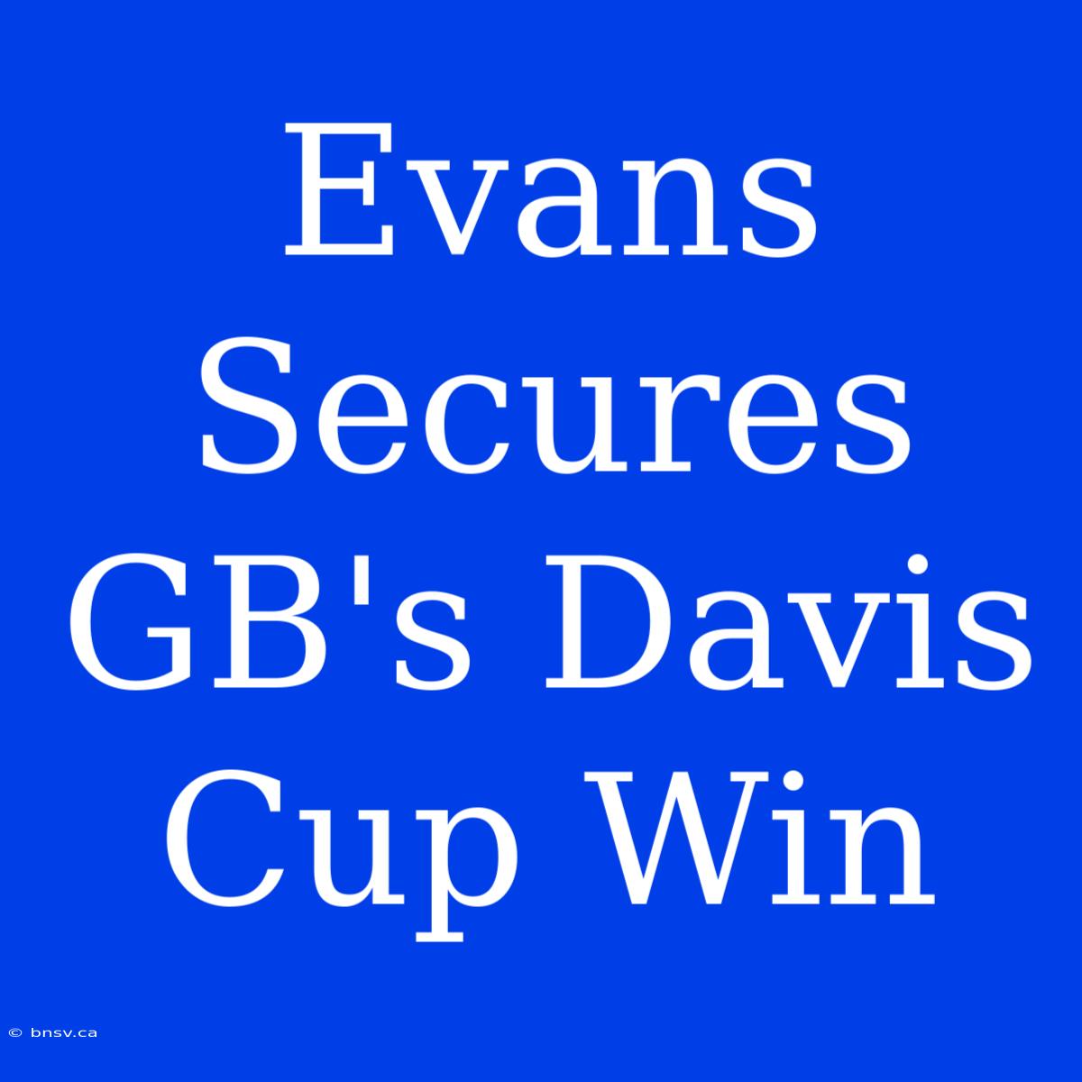 Evans Secures GB's Davis Cup Win