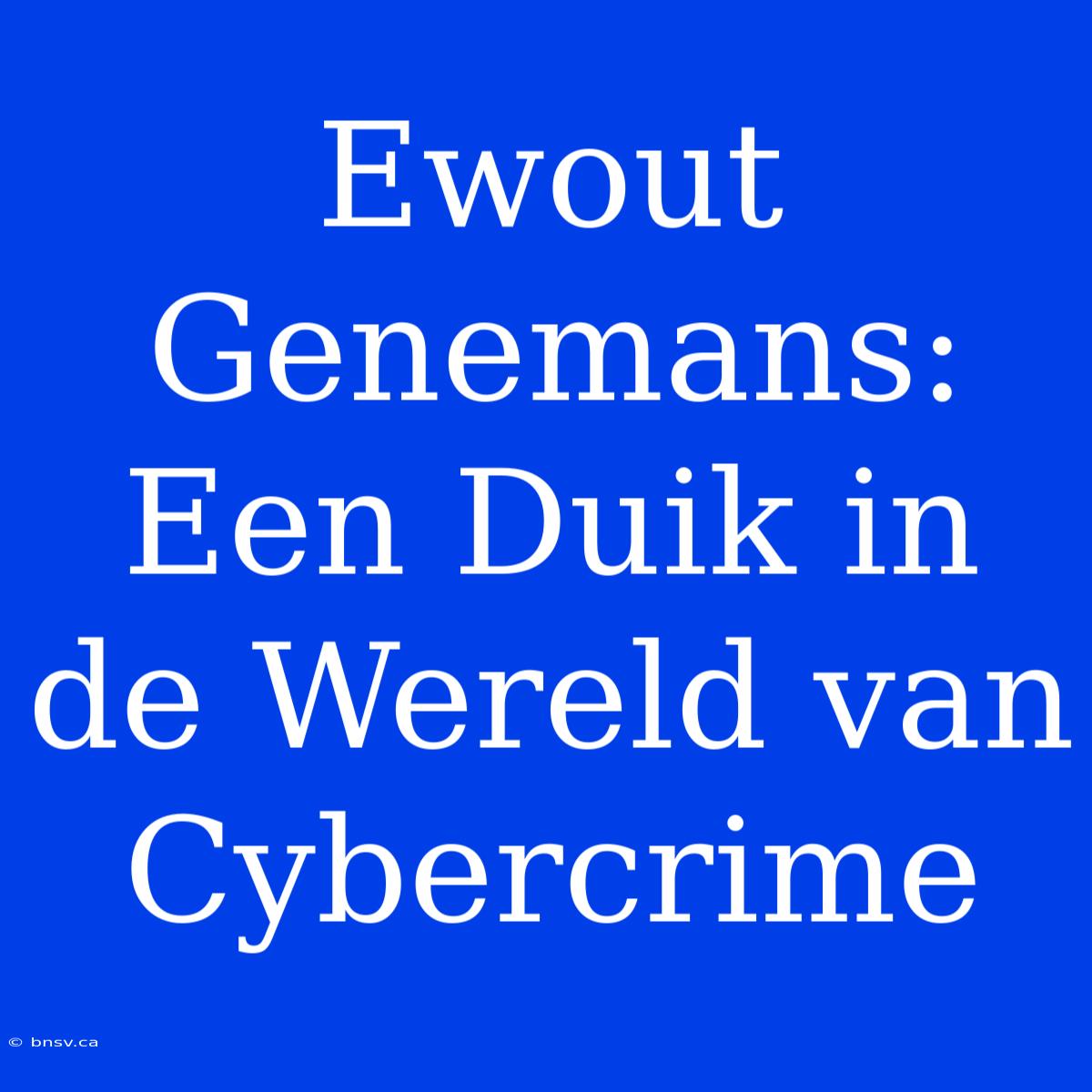 Ewout Genemans: Een Duik In De Wereld Van Cybercrime