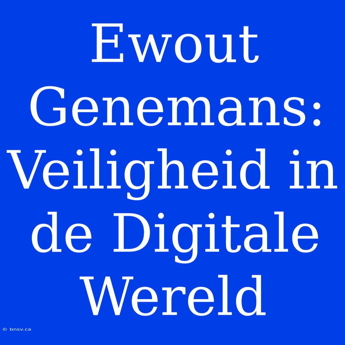 Ewout Genemans: Veiligheid In De Digitale Wereld