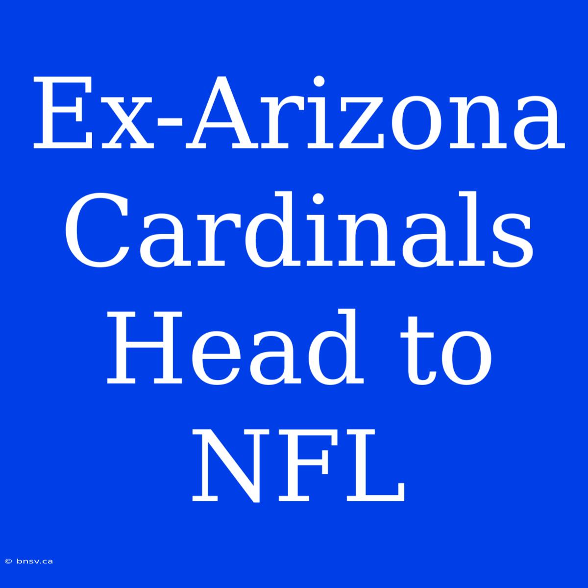 Ex-Arizona Cardinals Head To NFL