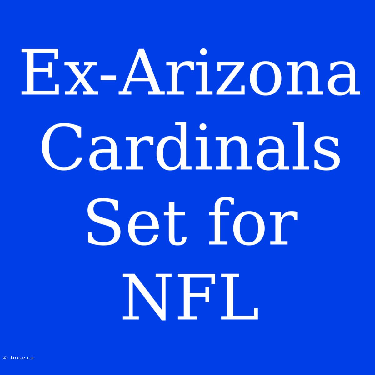 Ex-Arizona Cardinals Set For NFL