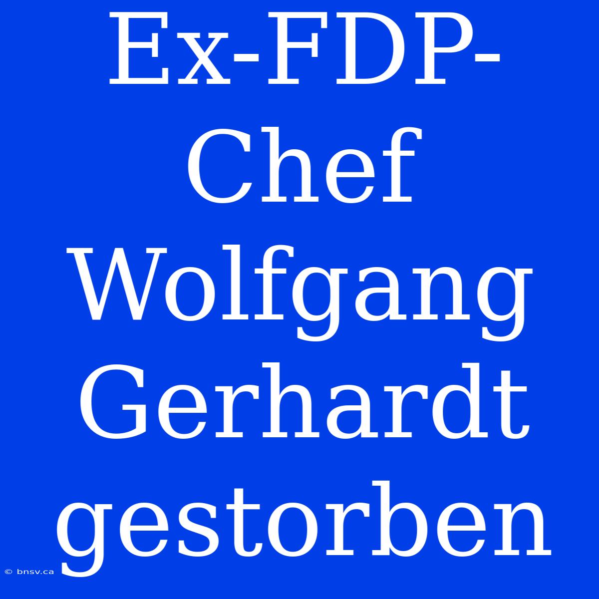 Ex-FDP-Chef Wolfgang Gerhardt Gestorben