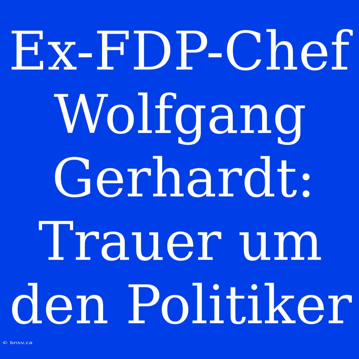 Ex-FDP-Chef Wolfgang Gerhardt: Trauer Um Den Politiker