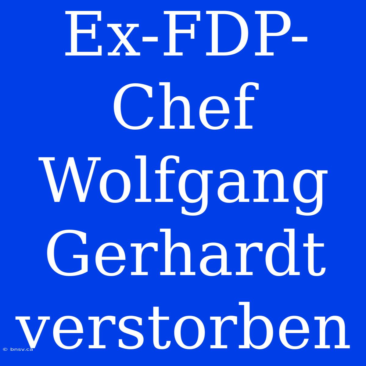 Ex-FDP-Chef Wolfgang Gerhardt Verstorben