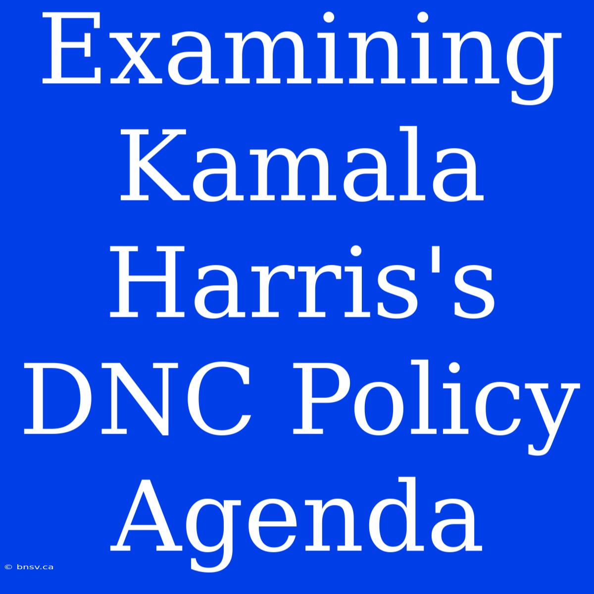 Examining Kamala Harris's DNC Policy Agenda