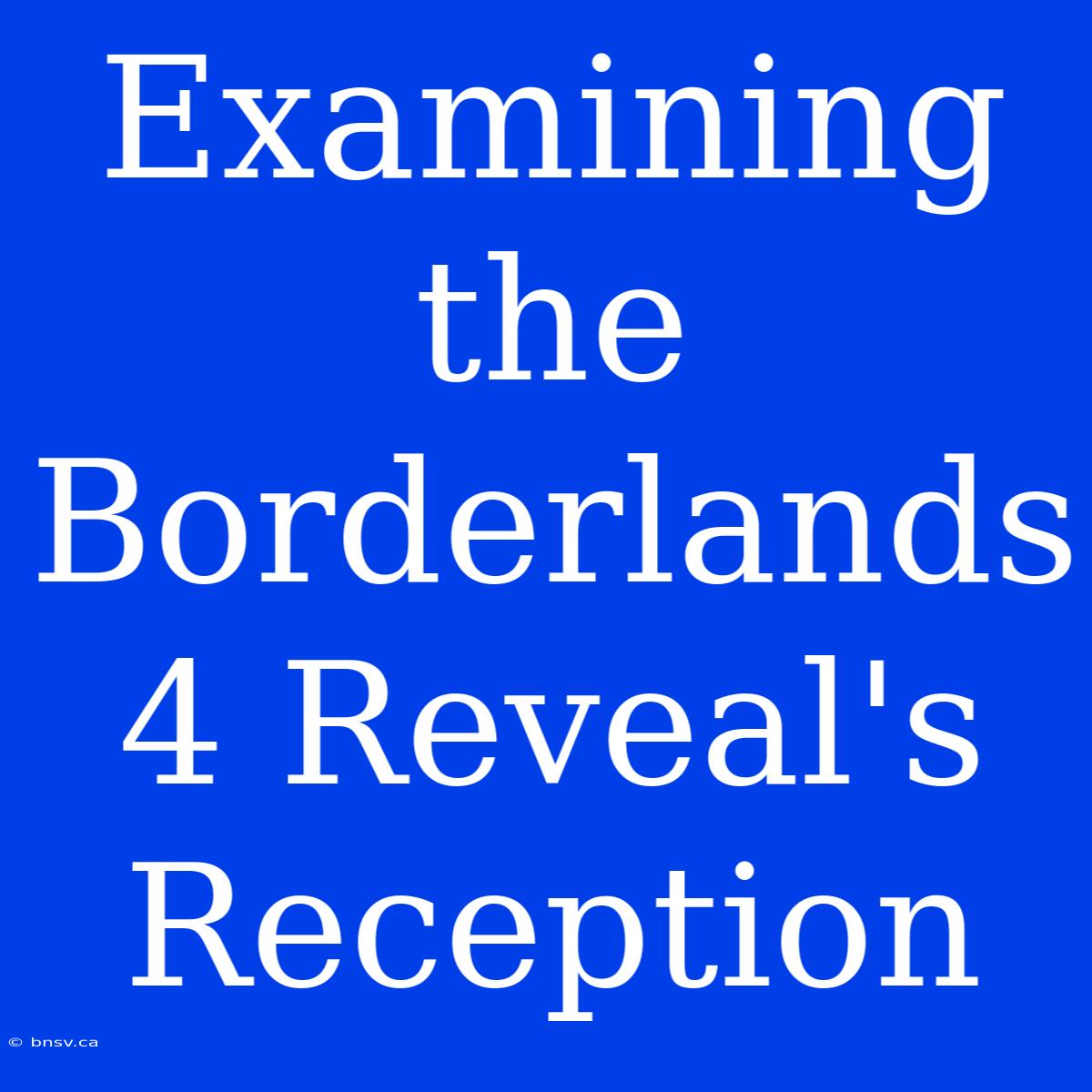 Examining The Borderlands 4 Reveal's Reception