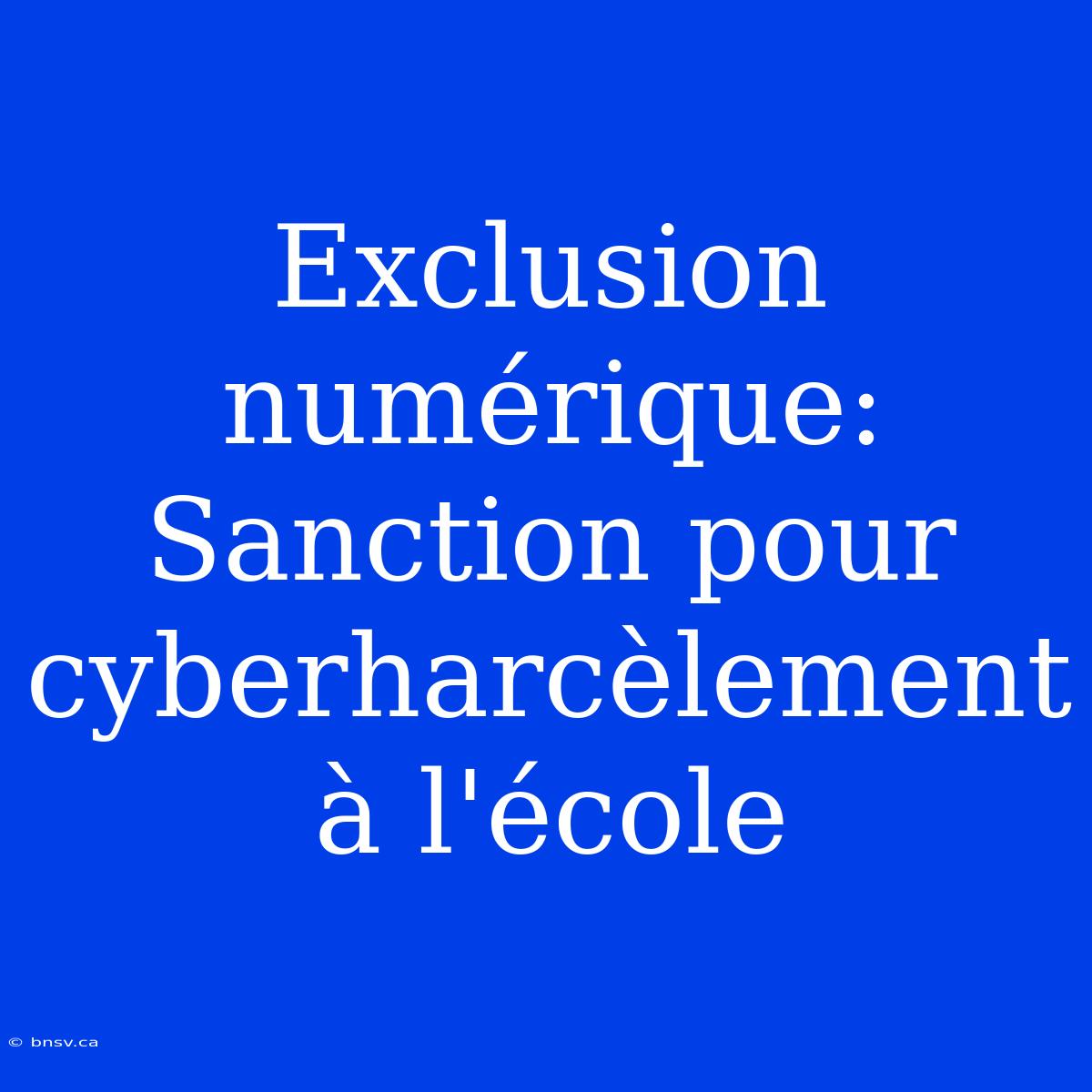 Exclusion Numérique: Sanction Pour Cyberharcèlement À L'école