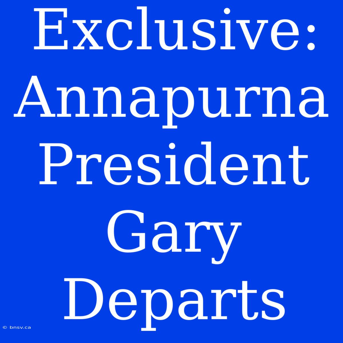 Exclusive: Annapurna President Gary Departs