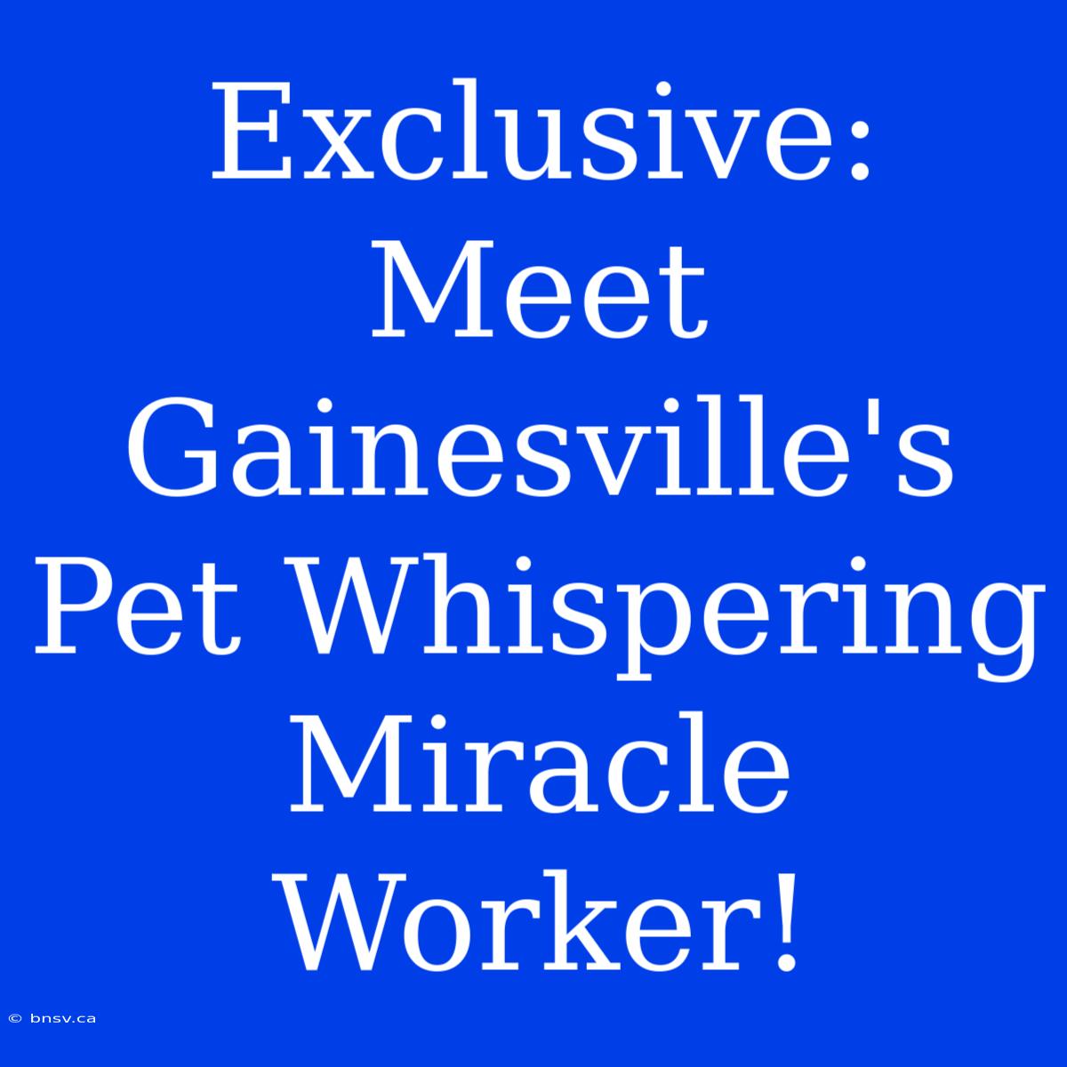 Exclusive: Meet Gainesville's Pet Whispering Miracle Worker!