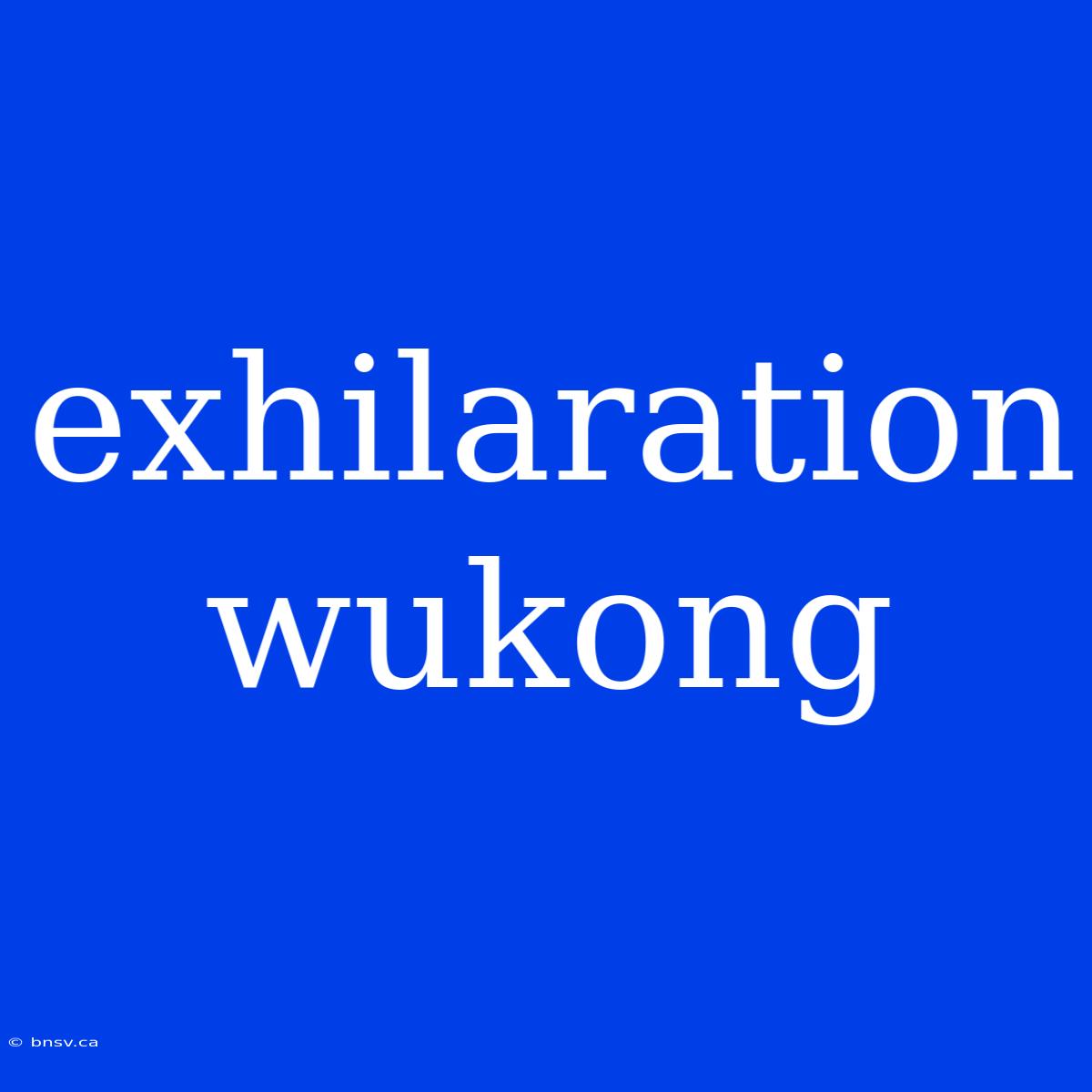 Exhilaration Wukong