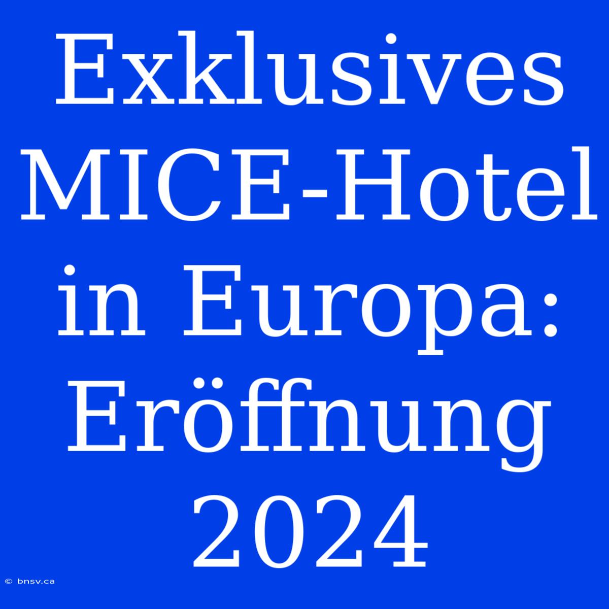 Exklusives MICE-Hotel In Europa: Eröffnung 2024