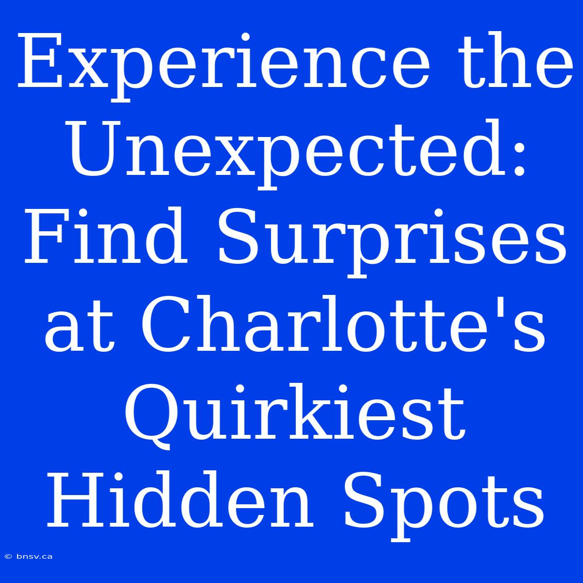 Experience The Unexpected: Find Surprises At Charlotte's Quirkiest Hidden Spots